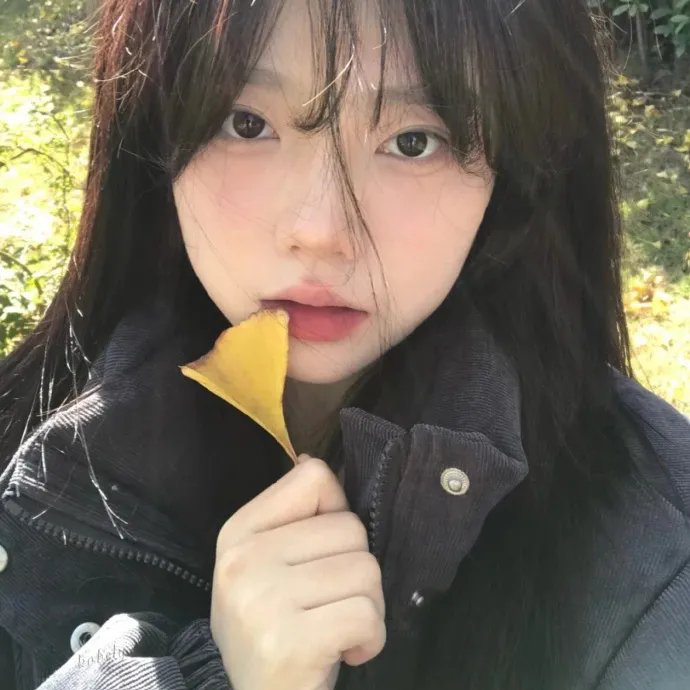 今生无悔粤语